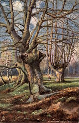 Burnham Beeches Tuck's Oilette Series Postcard Postcard