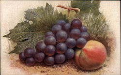 Still Life - Peach and Grapes Tuck's Oilette Series Postcard Postcard