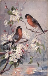 Two Birds in Flowering Branch Postcard Postcard