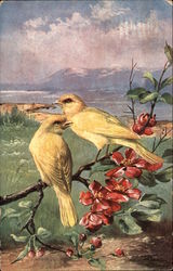 Yellow Birds on Tree Branch Postcard Postcard