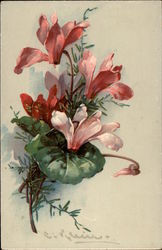 Pink Cyclamen Postcard