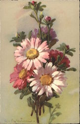 Pink Daisies C. Klein Postcard Postcard