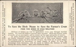 Feed the Birds in Cold Weather Postcard Postcard