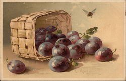 Still LIfe - Basket of Plums C. Klein Postcard Postcard