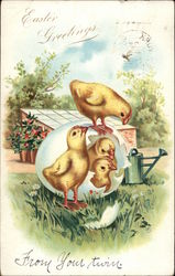 Easter Greetings - Chicks with Egg Postcard