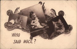 Who Said Mice? Cats Postcard Postcard