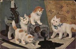 Four Cats Tipping Inkwell on Letter Postcard Postcard