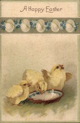 Three Chicks Drinking out of an Egg Shaped Bowl With Chicks Postcard Postcard