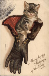 Kitten Sits in a Fur-trimmed Glove Birthday Postcard Postcard