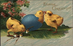 Three Chicks and a Blue Eggshell Postcard