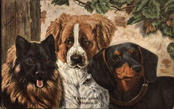 Three Good Friends - Dogs Postcard