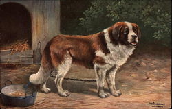 Saint Bernard with Dog Bowl Postcard