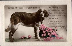 Loving Thoughts on Your Birthday Saint Bernards Postcard Postcard