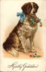 St. Bernard Holding Basket of Flowers Saint Bernards Postcard Postcard