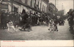 Dog Racing - Ishpeming MI Saint Bernards Postcard Postcard