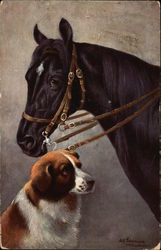 Black Horse with Dog Postcard