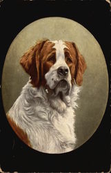 Saint Bernard Dog Saint Bernards Postcard Postcard