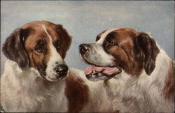 Two St. Bernard dogs Saint Bernards Postcard Postcard