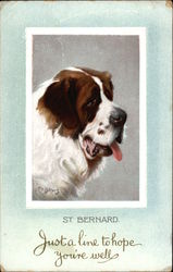 St. Bernard Dog Sends Greetings Postcard