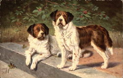 Pair of Dogs Postcard