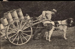 St. Bernard Carrying Farm Cart Postcard