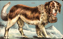 St. Bernard Postcard