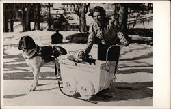 St. Bernard Pulling Child's Sleigh Saint Bernards Postcard Postcard