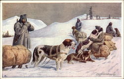 Dogs Pulling Sleds in Snow Saint Bernards Postcard Postcard