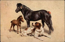 Black Horse, Brown Foal, Dog Saint Bernards Postcard Postcard