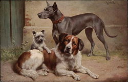 Three Dogs Postcard