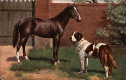 Brown Horse and St. Bernard Saint Bernards Postcard Postcard