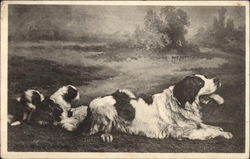 Family of St. Bernards Saint Bernards Postcard Postcard