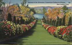 Entrance to the Arboretum, Connecticut College of Women Postcard