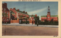 Brooklyn College New York Postcard Postcard