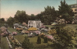 The Lookout Hotel, Terrace Garden and Garden of the Pines Postcard