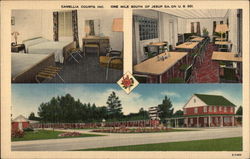 Camellia Courts, Inc Postcard