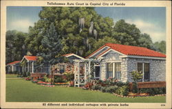 Tallahassee Auto Court in Capital City of Florida Postcard