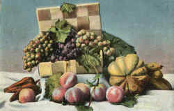 Fruit Still Life Postcard