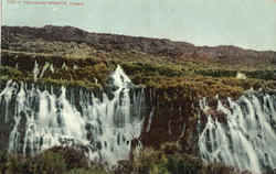 Thousand Springs Hagerman, ID Postcard Postcard