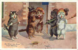 We Won't Go Home Until Morning Cats Postcard Postcard