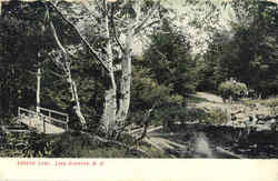 Lover's Lane Postcard