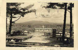 Cachedral Pines Postcard