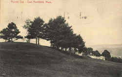 Round Top Postcard