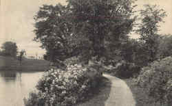 Perry Pond Walk Postcard