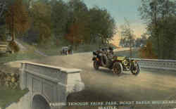 Passing Through Frink Park Postcard