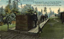 A Washington Fir Near The Forestry Building Postcard