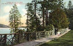 Rustic Bridge At Point Defiance Park Postcard