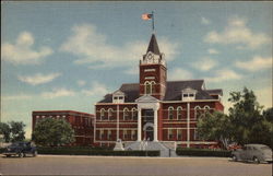 Luna County Court House Postcard