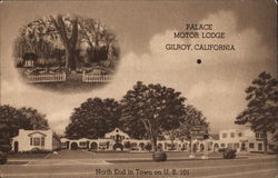 Palace Motor Lodge Postcard