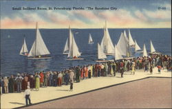 Small Sailboat Races, "The Sunshine City" St. Petersburg, FL Postcard Postcard